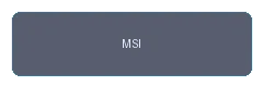 MSI